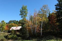 Lac-Saint-Jean naar Shawinigan